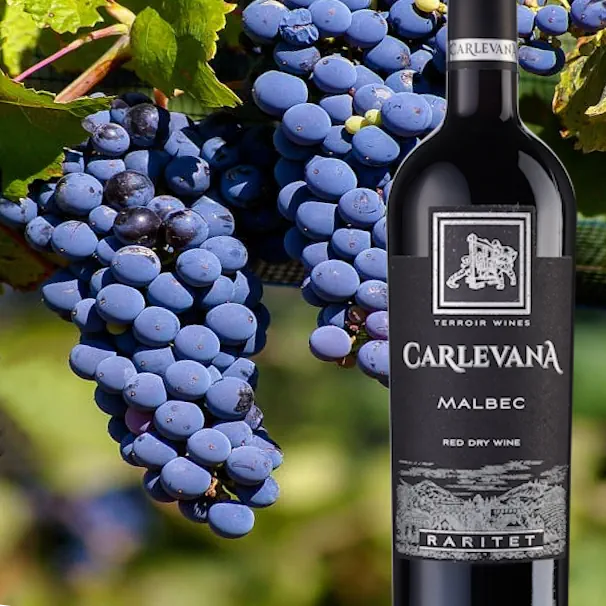 malbec wine and grapes