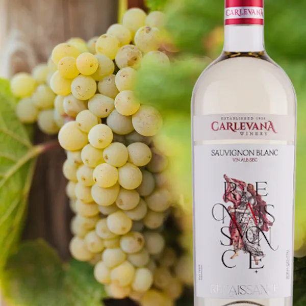 sauvignon blanc renessance wine