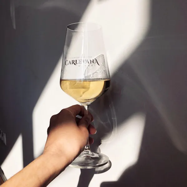 sauvignon blanc2