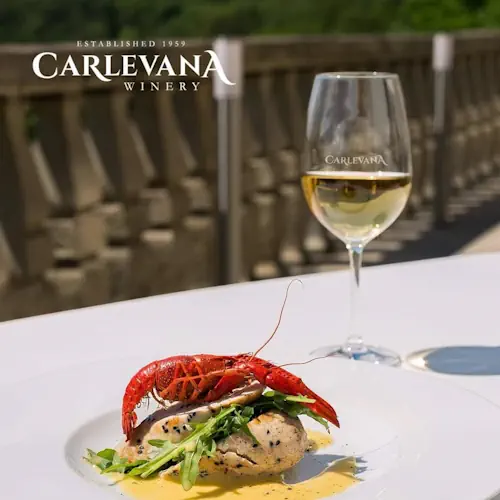 Sauvignon Blanc white dry wine food