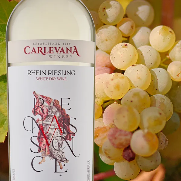 rhein riesling wine
