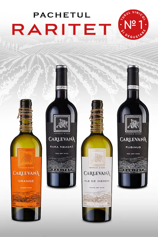 wine tour raritet