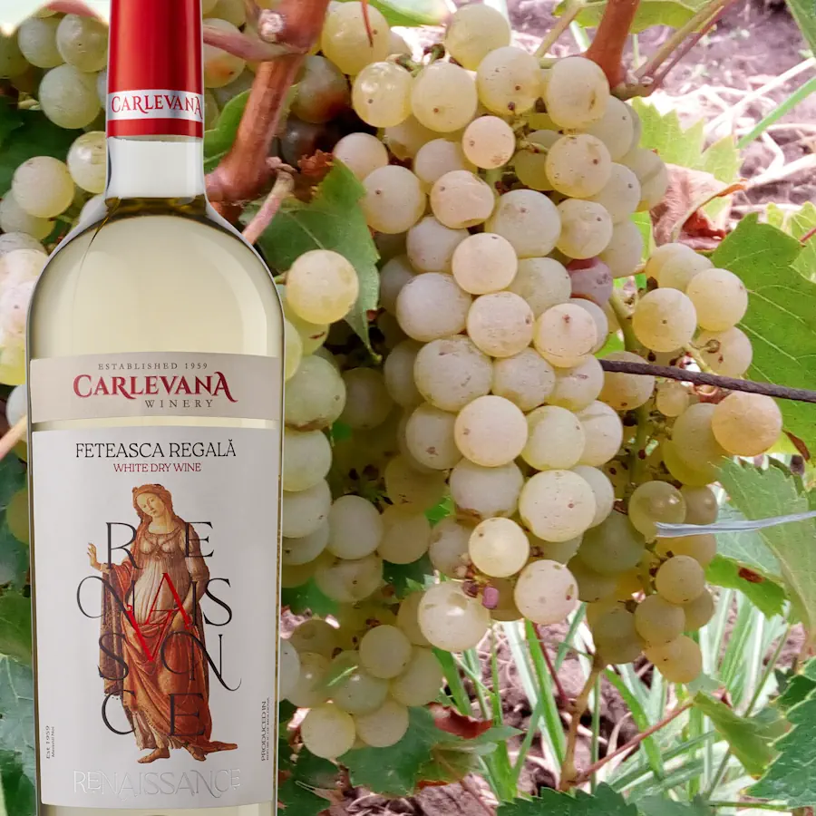 feteasca regala wine