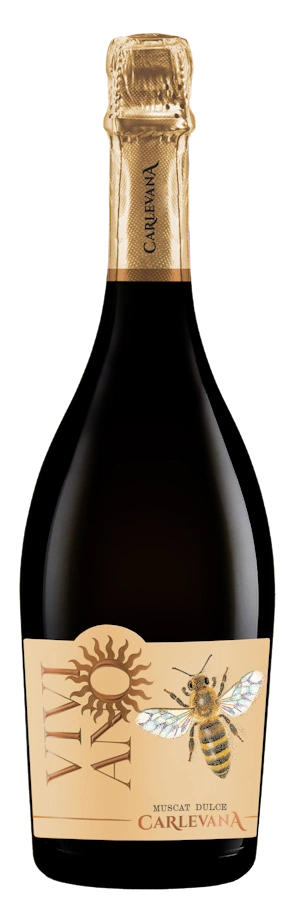 viviano muscat albina 900